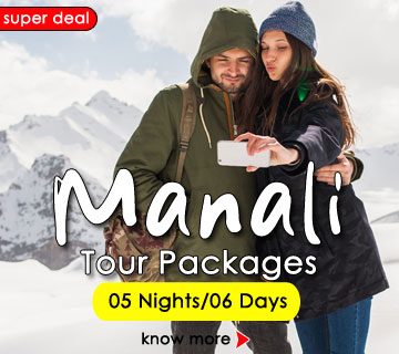 Manali Honeymoon Tour Package