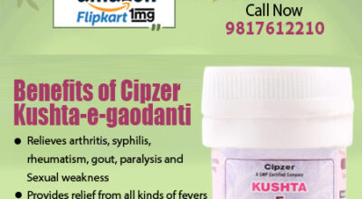 Kushta-e-gaodanti is effective in treating chronic
