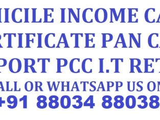 Domicile Income Certificate Pan Card 8803488038
