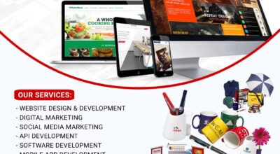 India: The Emerging Hub for Web Application Develo