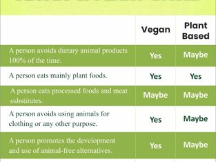 What Is Different Plant Based Vs Vegan