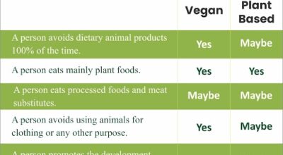 What Is Different Plant Based Vs Vegan