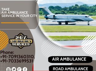 Affordable Price and Trusted Air Ambulance Patna