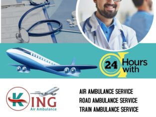 Credible and Genuine Price Air Ambulance in Delhi