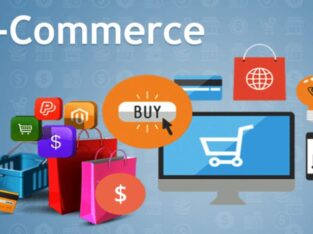 Ecommerce Store Development Company-WordPressIndia
