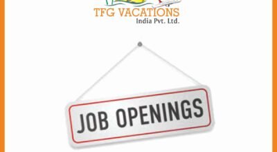 Back Office Executive