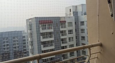 Bird Net Solution