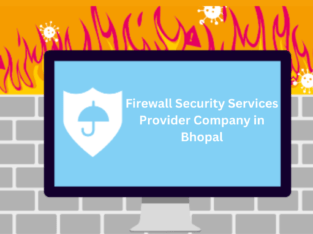 Firewall Services Provider in Bhopal