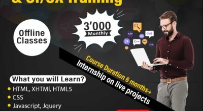 Website Designing Institutes in Uttam Nagar,Delhi