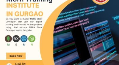 MERN STACK Course| MERN STACK Developer