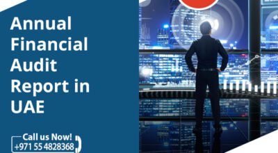 Annual Financial Audit Report in UAE