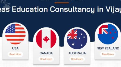 Stem Overseas Educational Consultancy