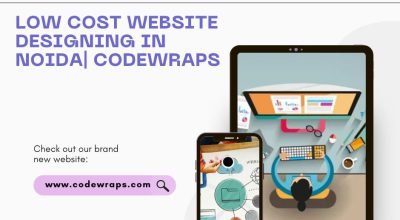Low Cost Website Designing in Noida| Codewraps