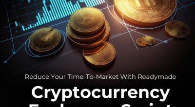 Reduce Your Time-To-Market With Readymade Cryptocu