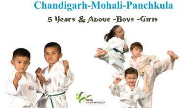 Home Personal Taekwondo Martial Arts Classes