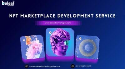 Top-notch NFT Marketplace Development Service Pro