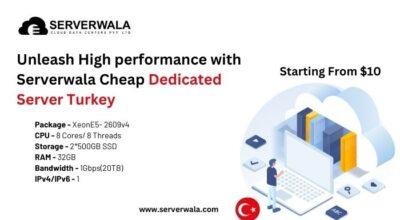 Serverwala Cheap Dedicated Server Turkey