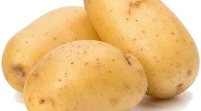 Best Quality Potato Exporters In India