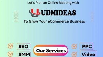 SEO agency in chennai UDMIDEAS