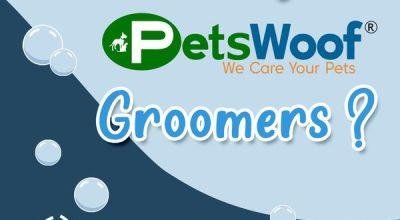 Doorstep Pet Grooming Services in Bangalore