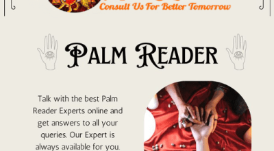 Astrologer in Gota