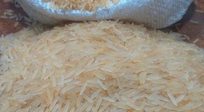 Basmati Rice Producers in India 0981004845
