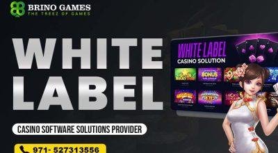 White Label Casino Solution Provider – Brino games