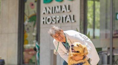 DCC Animal Hospital – Best Pet Clinic in Delhi NCR