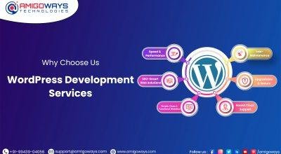 Expert WordPress Development Services in India