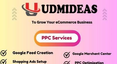 Best PPC services in Chennai UDMIDEAS