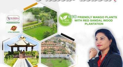 Real Estate Boom: Hyderabad’s Prime Open Plots