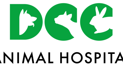 DCC Animal Hospital in Greater Kailash