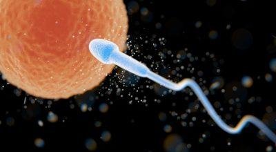 Best IVF Centre in Ghaziabad: ReproArt – Your Fami