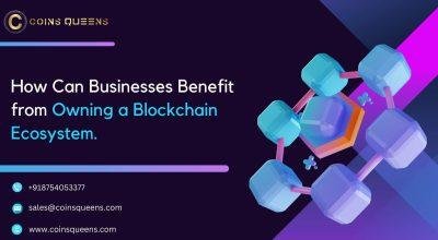 How Businesses Benefit from Owning a Blockchain