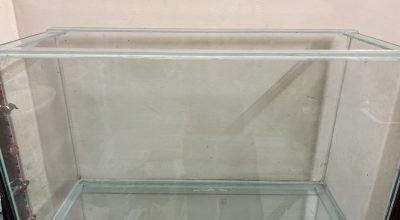 Aquarium for Sale