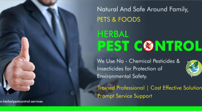 Expert Pest Control Services – Safe, Reliable