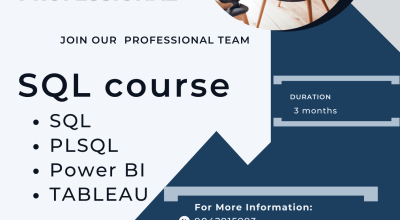 Unlock the Power of Databases with Our Comprehensi