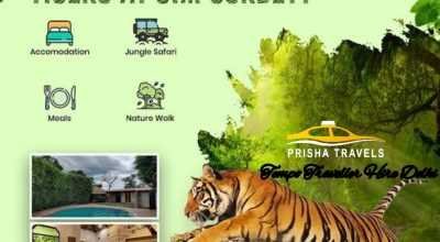 Tempo Traveller on Rent in Delhi