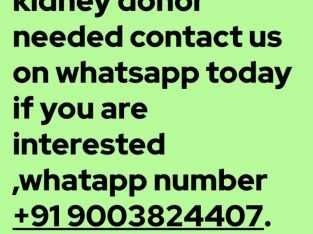 KIDNEY DONOR NEEDED