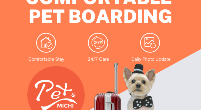 Top and Trusted Pet Care Services in Hyderabad