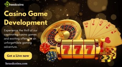 Hold your fascinating services on casino game deve