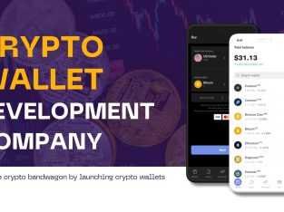 Crypto wallet development company