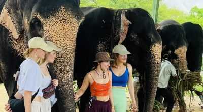 Elephant Activities in Jaipur with Elefriendride!