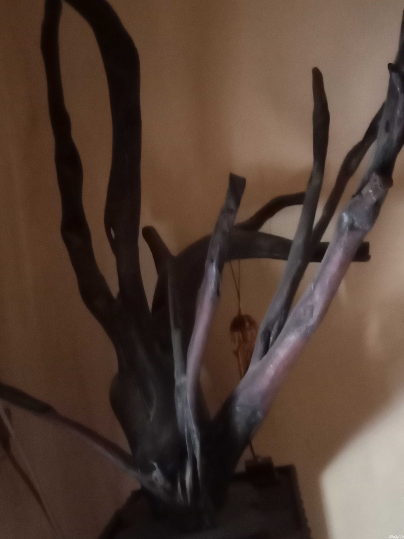 Root of Teakwood