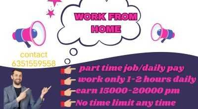 Work from home job