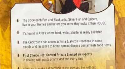 Wood Borer Treatment in Hyderabad