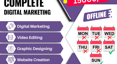 Professional Digital Marketing Course in Delhi