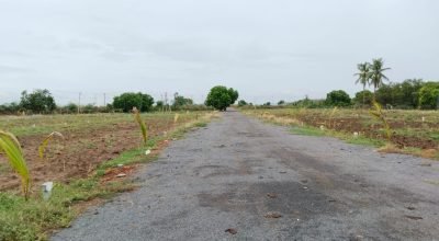 విజయవాడకు దగ్గరలో 100sqyds 5Lakhs only