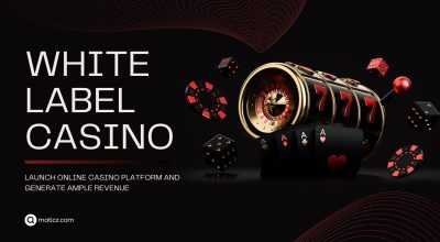White label online casino solution