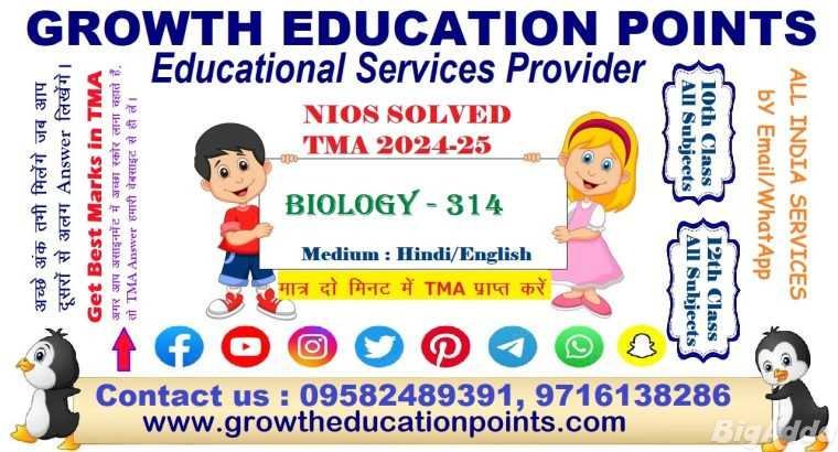 Nios tutor marked assignment ECONOMIC 318 TMA